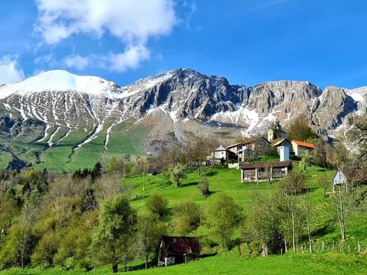 Hisa Lojz Apartman Zaga Kültér fotó
