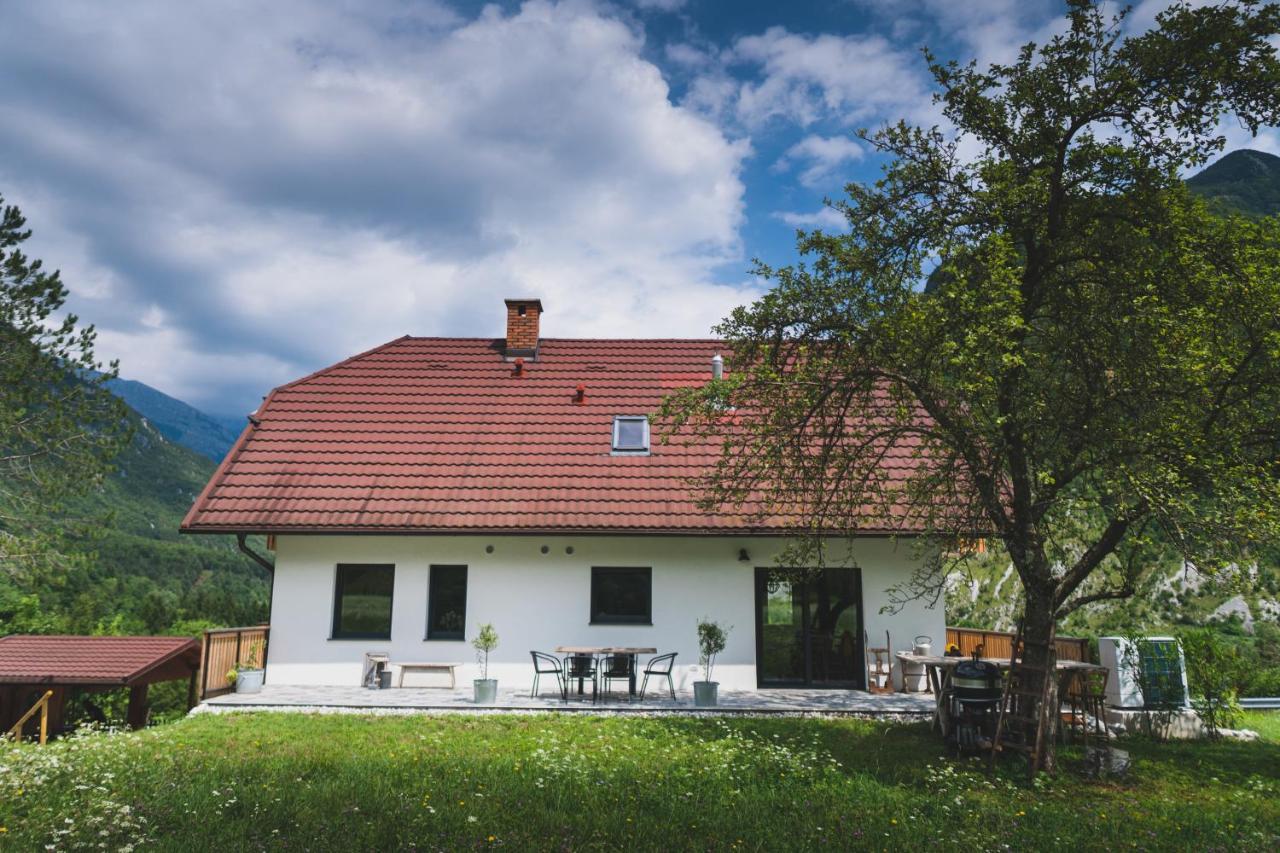 Hisa Lojz Apartman Zaga Kültér fotó